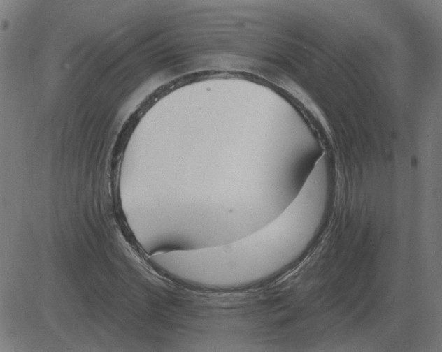 X0000081420972200702092129