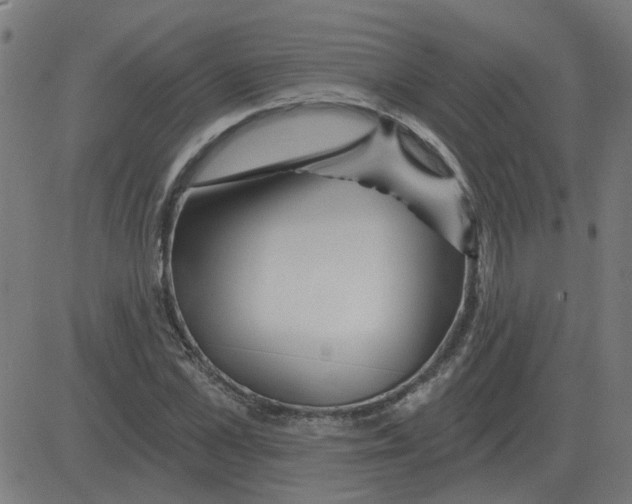 X0000081420973200702092129