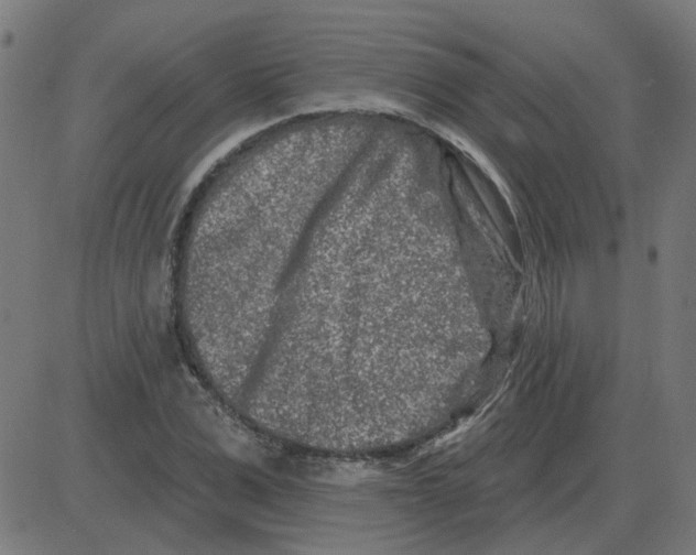 X0000081420975200702092129