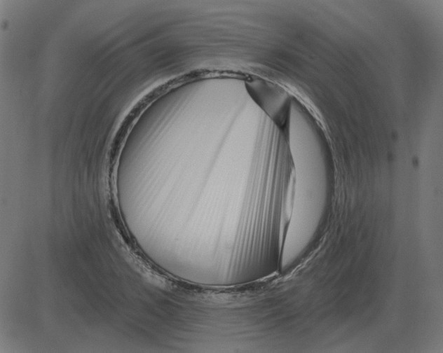 X0000081420976200702092129