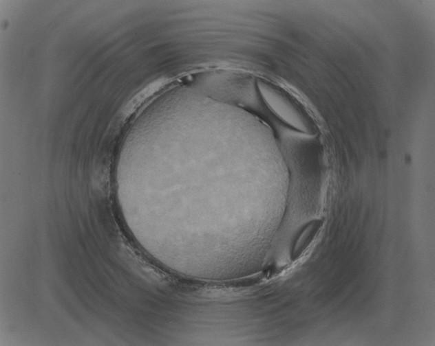 X0000081420977200702092129