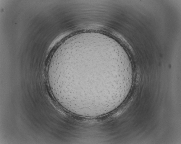 X0000081420978200702092129