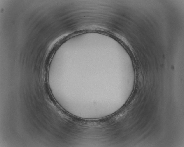 X0000081420979200702092129