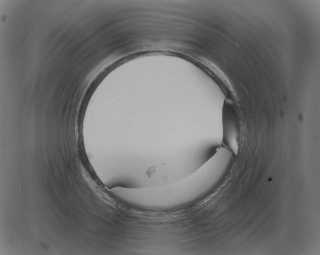 X0000081420980200702092129