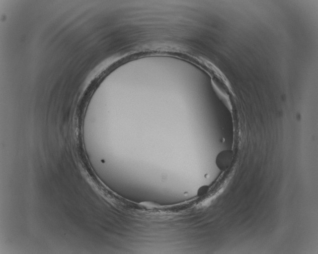 X0000081420981200702092129