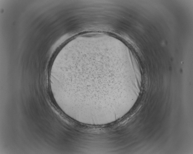 X0000081420982200702092129