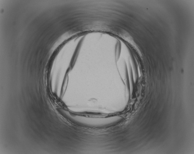 X0000081420983200702092129