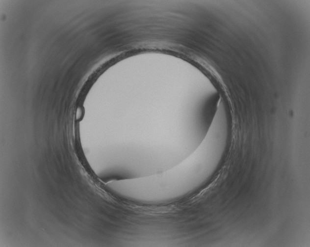 X0000081420984200702092129