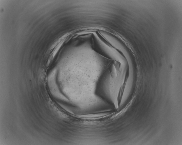 X0000081420985200702092129