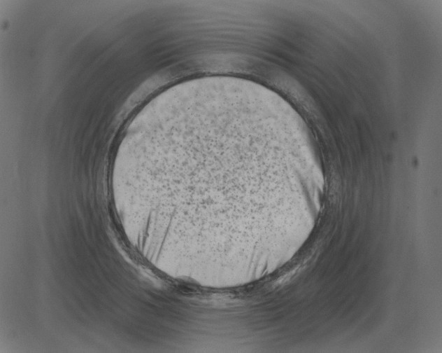 X0000081420986200702092129