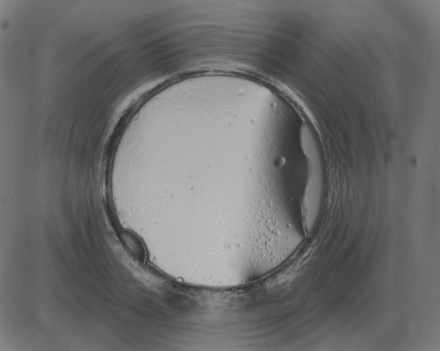 X0000081420987200702092129