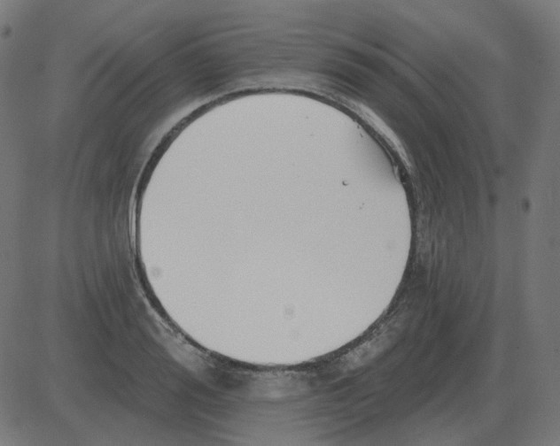 X0000081420988200702092129