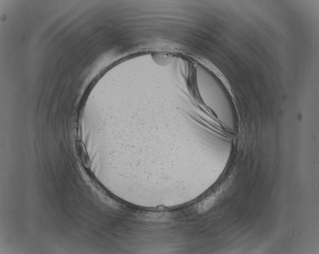 X0000081420989200702092129