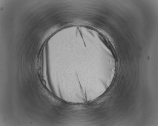 X0000081420990200702092129