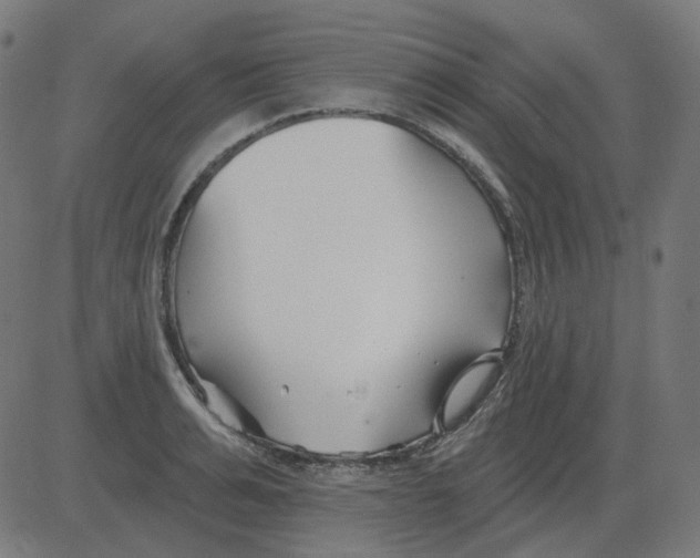 X0000081420991200702092129