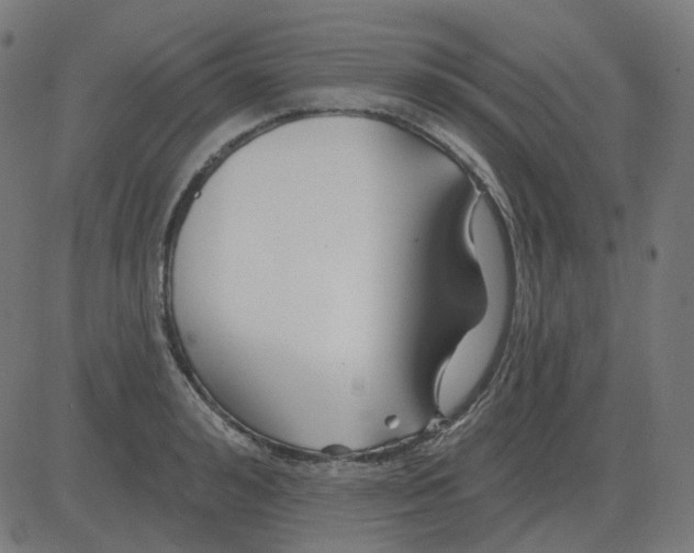 X0000081420992200702092129