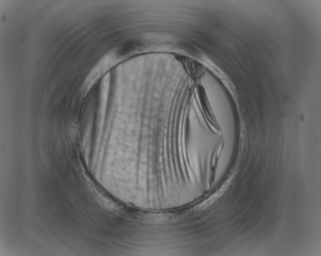 X0000081420993200702092129