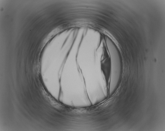 X0000081420994200702092129