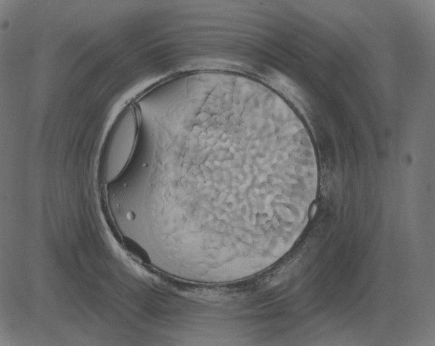 X0000081420995200702092129