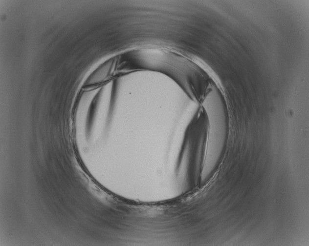 X0000081420996200702092129