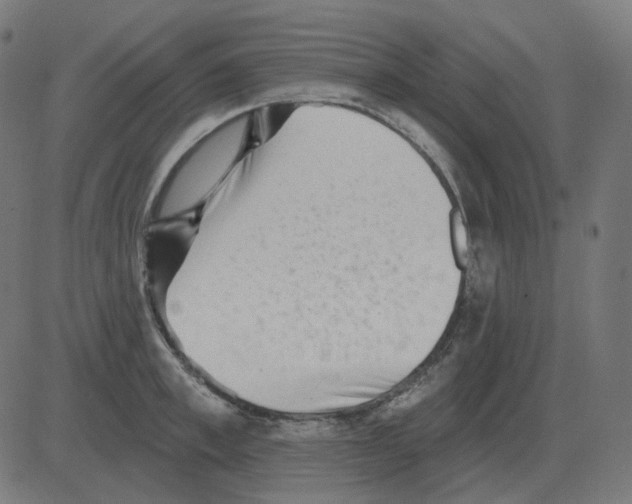 X0000081420997200702092129