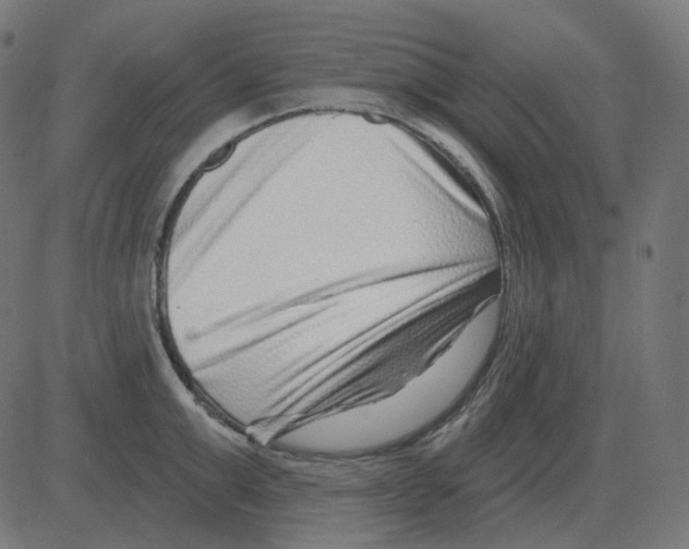 X0000081420999200702092129