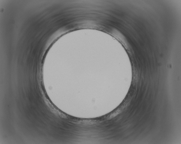 X0000081421000200702092129