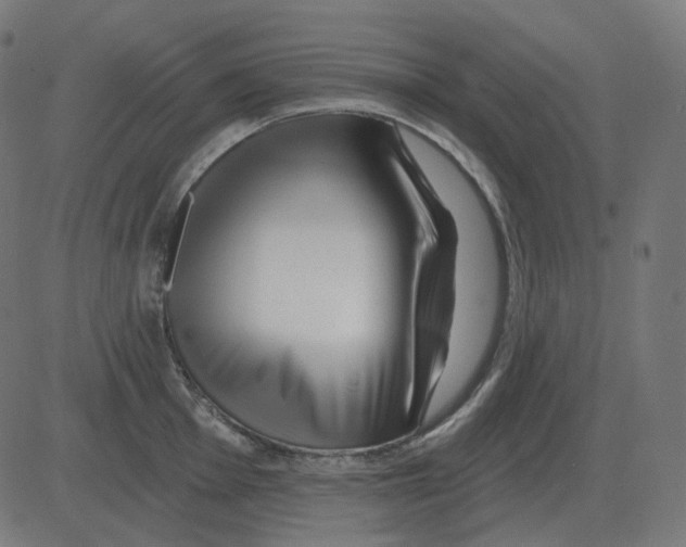 X0000081421001200702092129