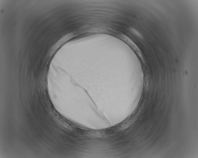 X0000081421002200702092129