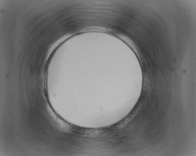 X0000081421003200702092129