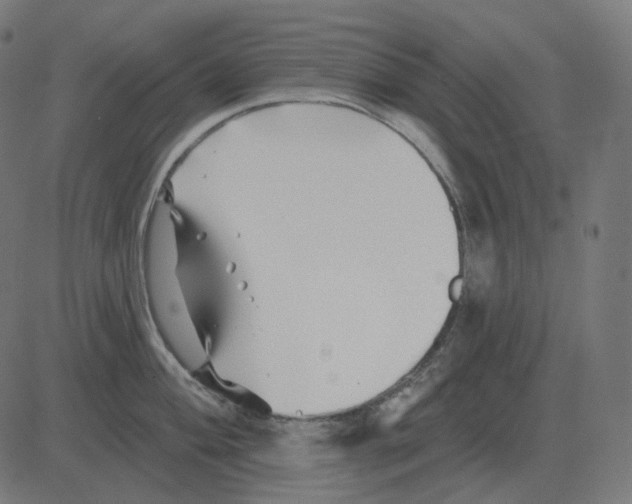 X0000081421004200702092129