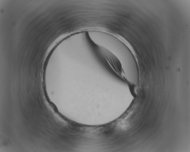 X0000081421005200702092129