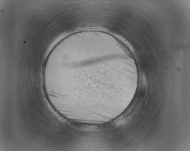 X0000081421006200702092129