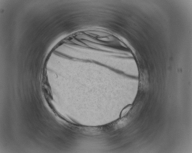 X0000081421007200702092129