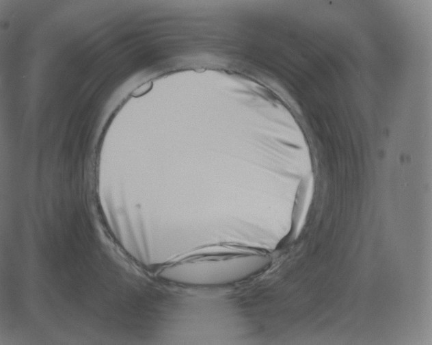 X0000081421008200702092129