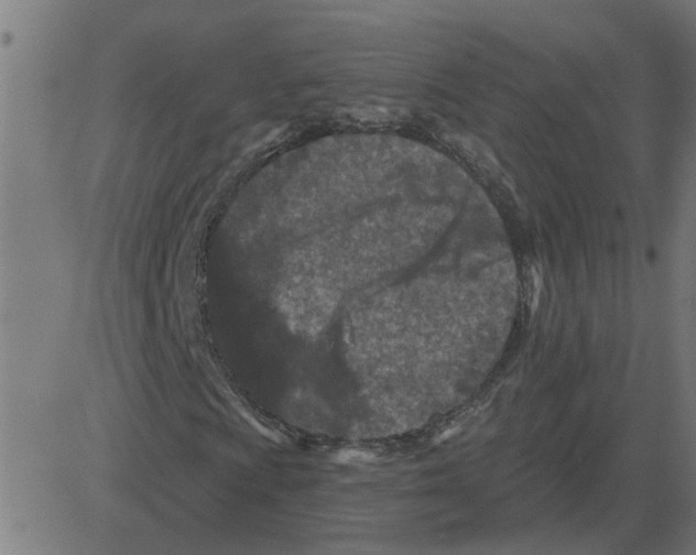 X0000081421009200702092128