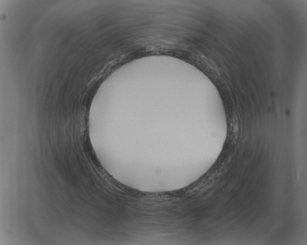 X0000081421012200702092128