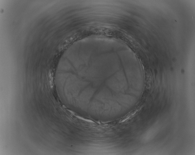 X0000081421013200702092128