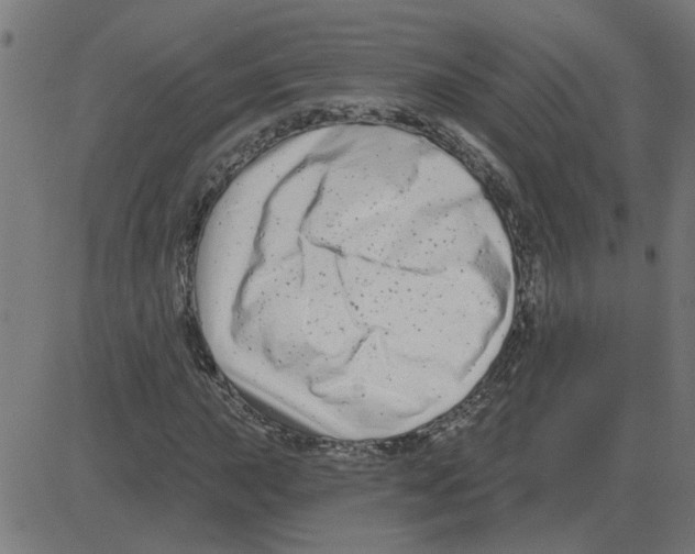 X0000081421015200702092128