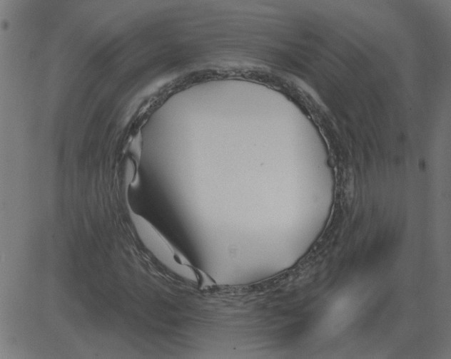 X0000081421016200702092128