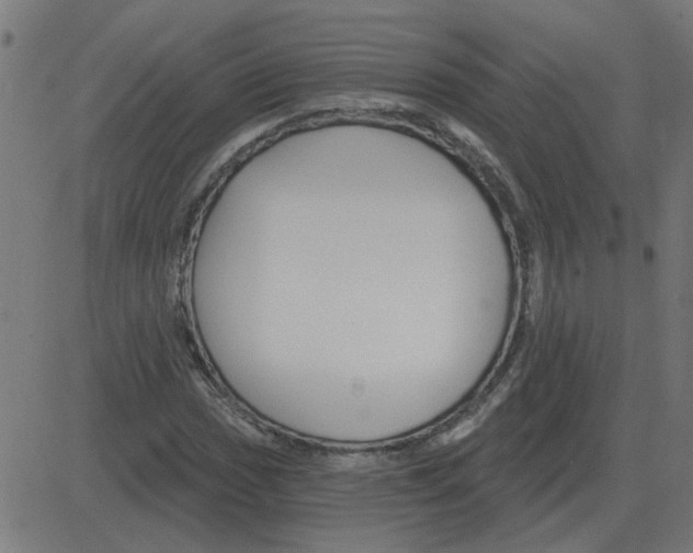 X0000081421017200702092128