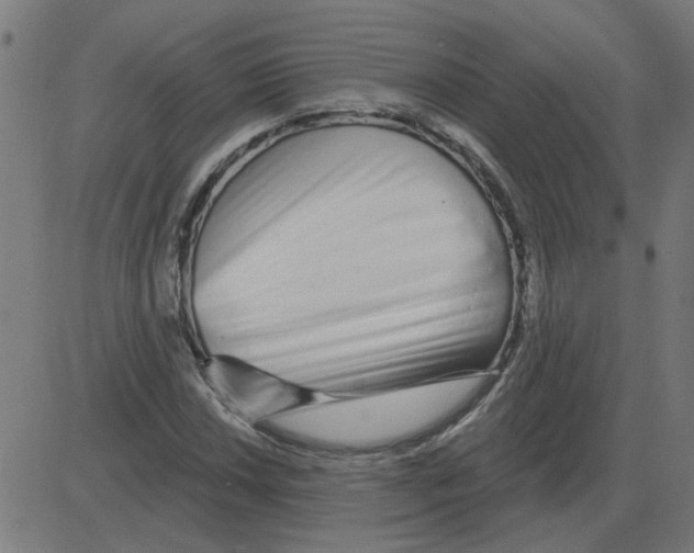 X0000081421018200702092128