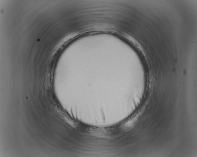 X0000081421019200702092128