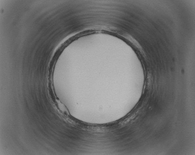 X0000081421020200702092128