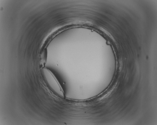 X0000081421021200702092128