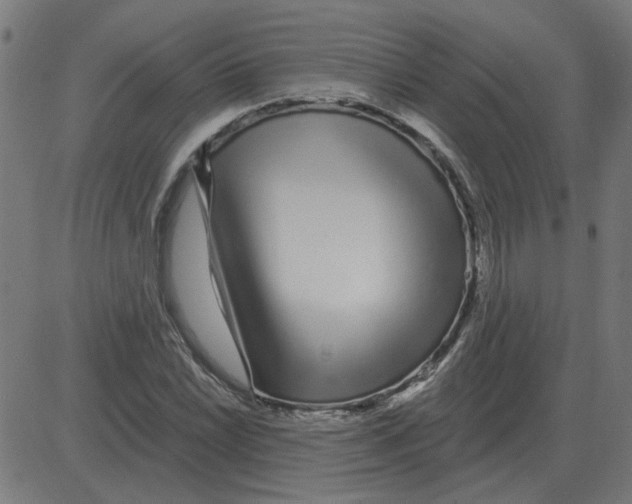 X0000081421022200702092128