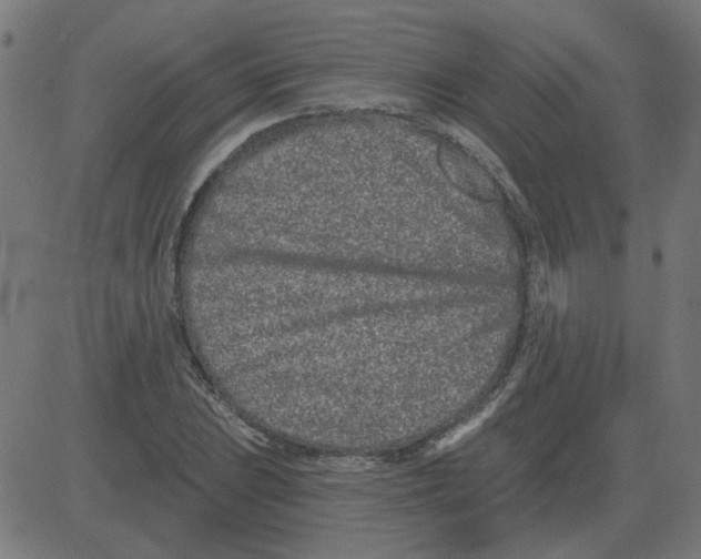 X0000081421023200702092128