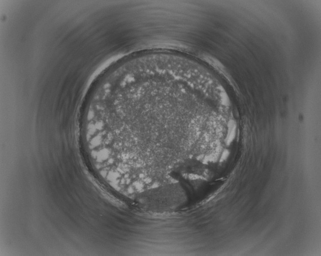 X0000081421024200702092128