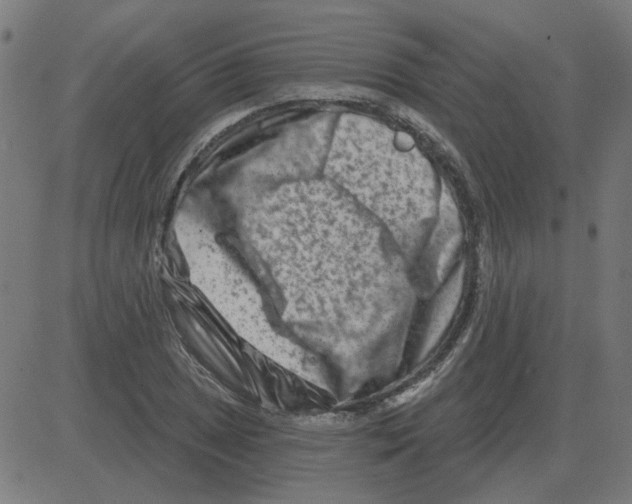 X0000081421025200702092128