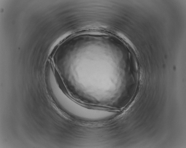 X0000081421026200702092128